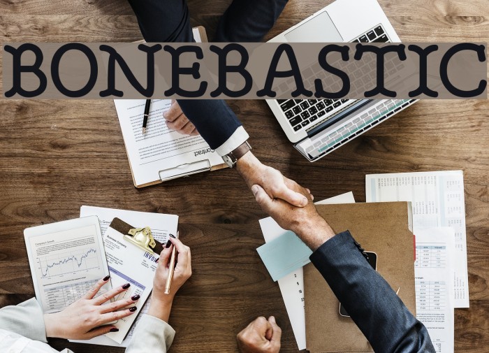 BONEBASTIC Example 1