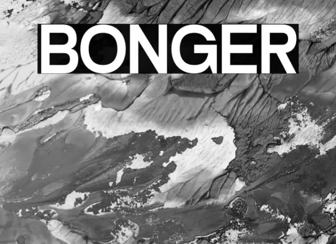 BONGER Example 1