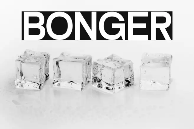 BONGER Example 2
