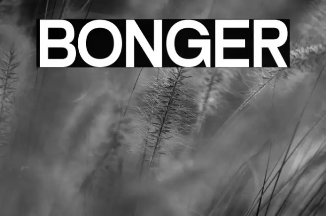 BONGER Example 3