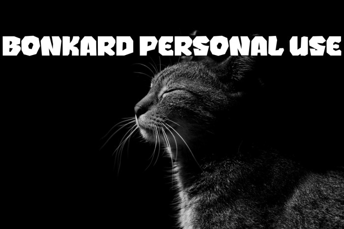 BONKARD PERSONAL USE Example 2