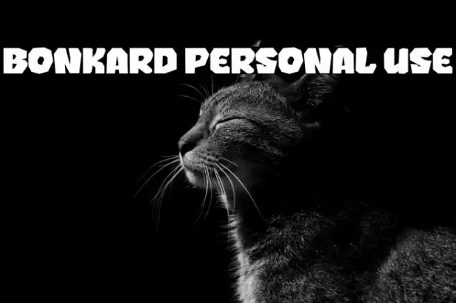 BONKARD PERSONAL USE Font examples