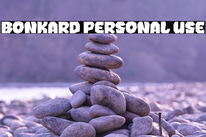 BONKARD PERSONAL USE Example 3