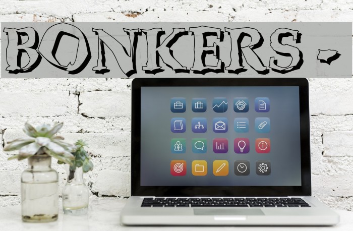 BONKERS - shadow Font examples
