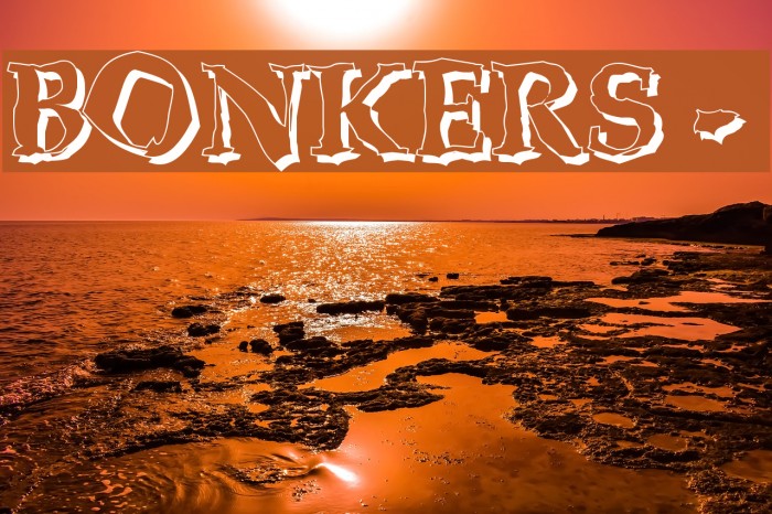 BONKERS - shadow Font examples