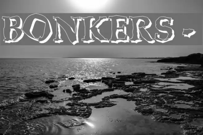 BONKERS - shadow 字体 examples