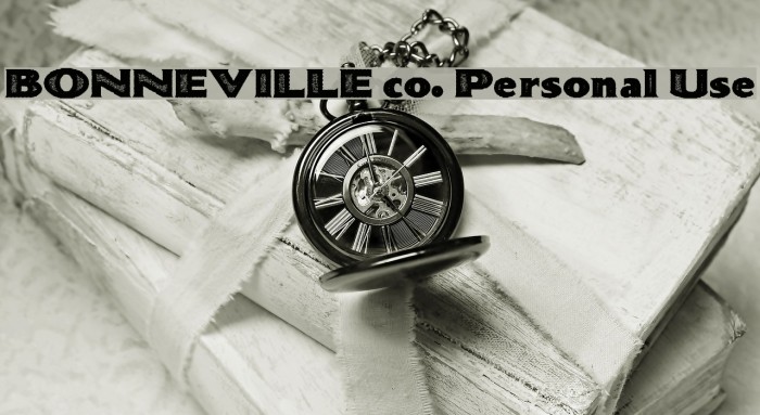 BONNEVILLE co. Personal Use Font examples