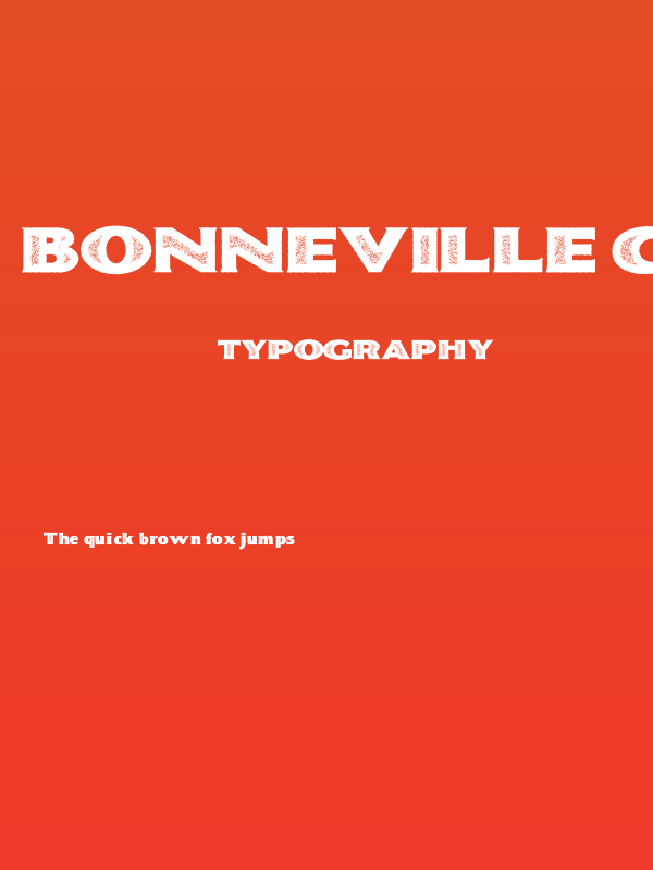 BONNEVILLE co. Personal Use Poster