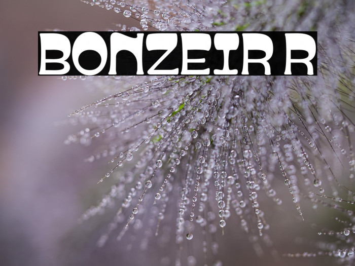 BONZEIR Regular Example 1