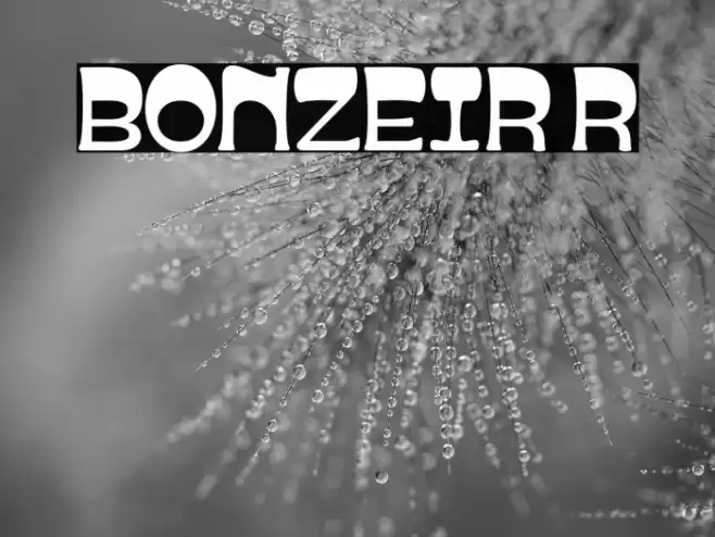 BONZEIR Regular Caratteri examples