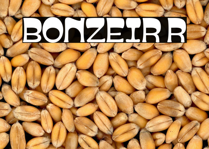 BONZEIR Regular Example 2