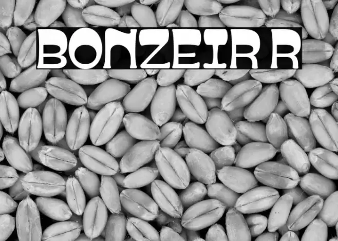 BONZEIR Regular Caratteri examples