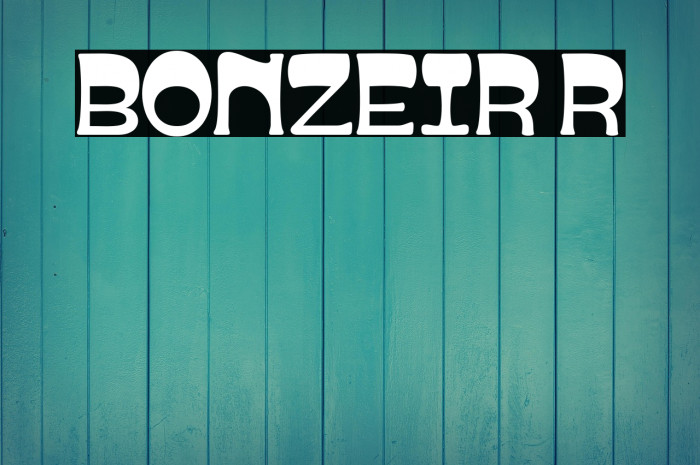 BONZEIR Regular Example 3