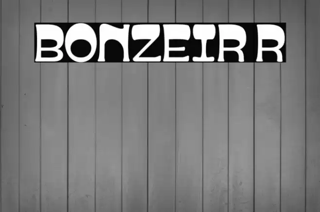 BONZEIR Regular Caratteri examples