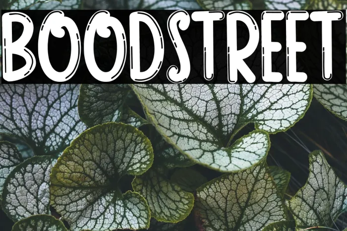 BOOD STREET Example 1