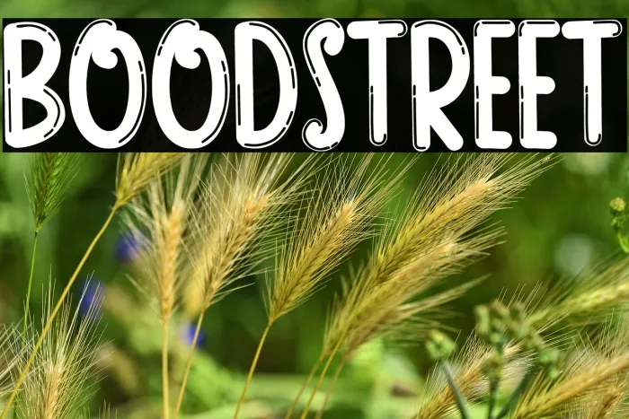 BOOD STREET Example 2