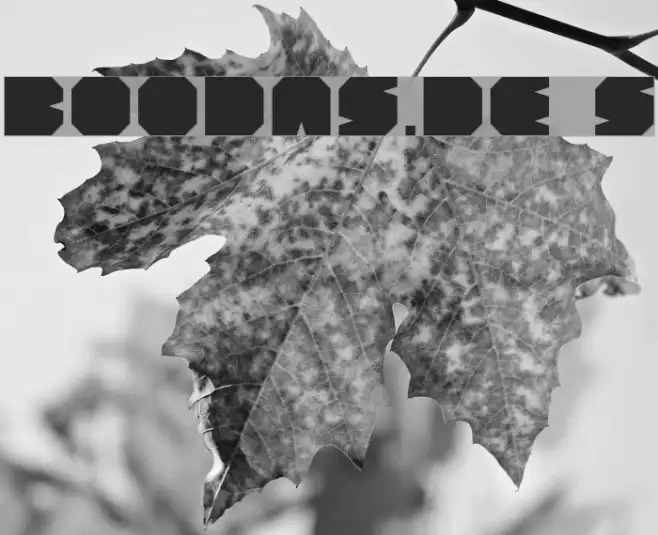 BOODAS.DE | Subtract Example 1