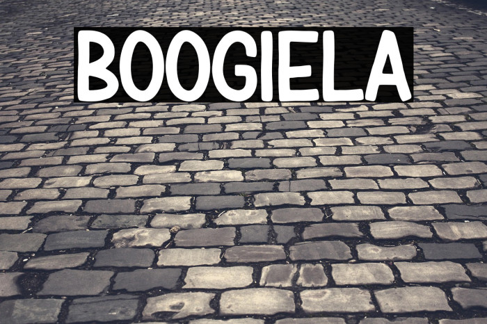 BOOGIELA Example 1
