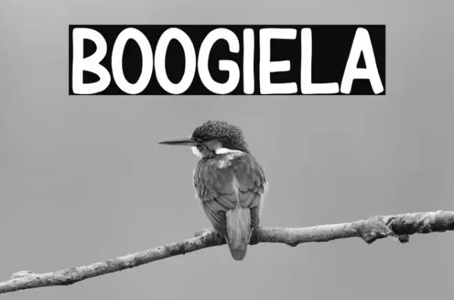 BOOGIELA Caratteri examples