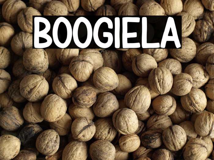 BOOGIELA Example 3