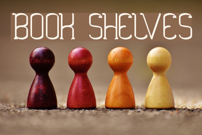 BOOK SHELVES Example 1