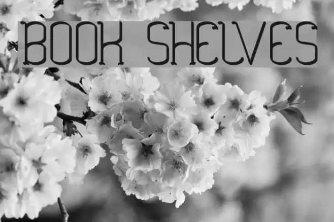 BOOK SHELVES Font examples