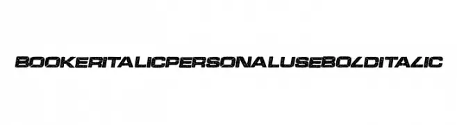 BOOKER ITALIC PERSONAL USE Bold Italic  免费字体下载