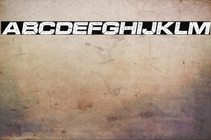 BOOKER ITALIC PERSONAL USE Bold Italic Example 2