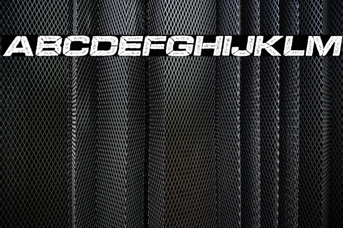 BOOKER ITALIC PERSONAL USE Bold Italic Example 3