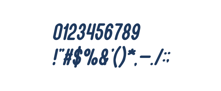 BOOKMARK Bold Italic Other Characters