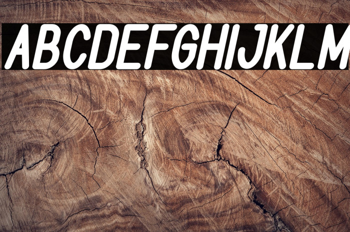 BOOKMARK Bold Italic Example 1