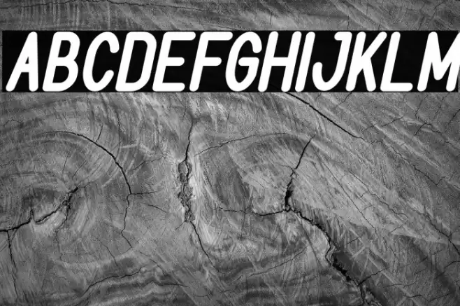 BOOKMARK Bold Italic Font examples