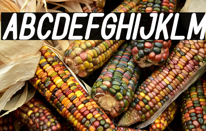 BOOKMARK Bold Italic Example 2