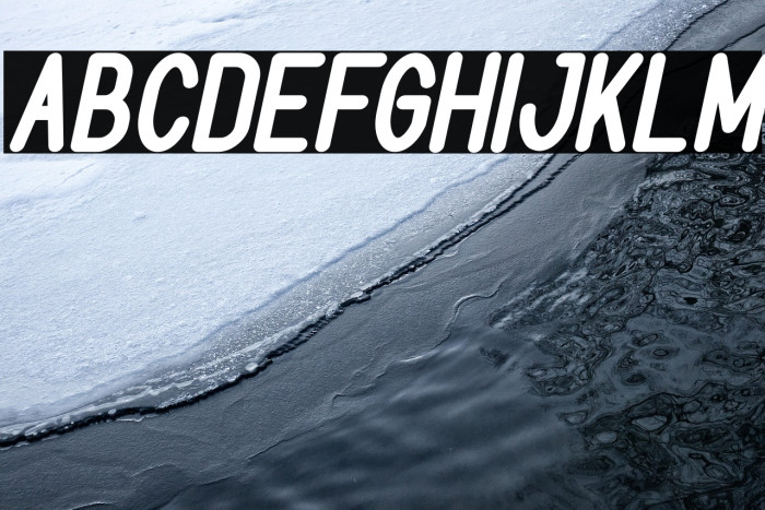 BOOKMARK Bold Italic Example 3