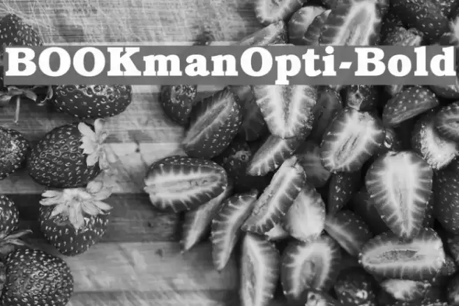 BOOKmanOpti-Bold Font examples