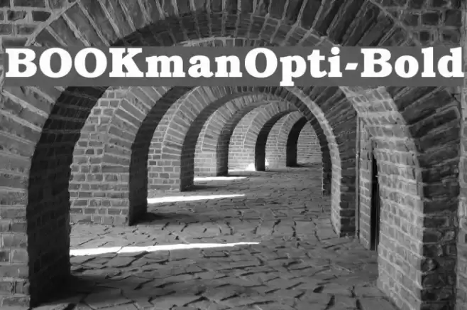 BOOKmanOpti-Bold Font examples