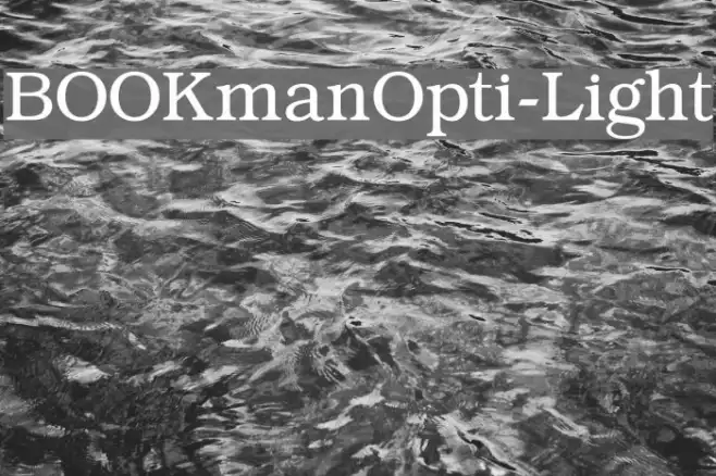 BOOKmanOpti-Light Example 1