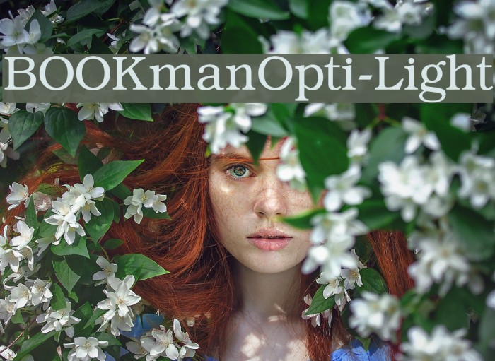 BOOKmanOpti-Light Font examples