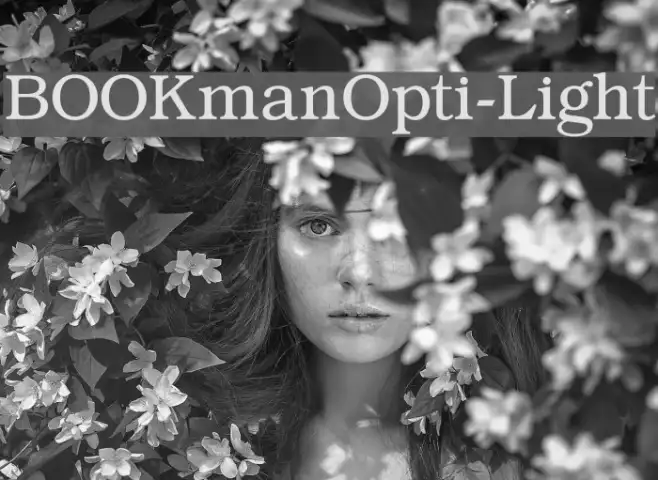 BOOKmanOpti-Light Example 3