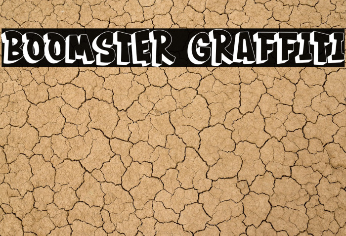 BOOMSTER Graffiti Example 1