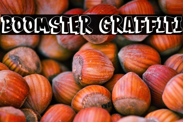 BOOMSTER Graffiti Example 2