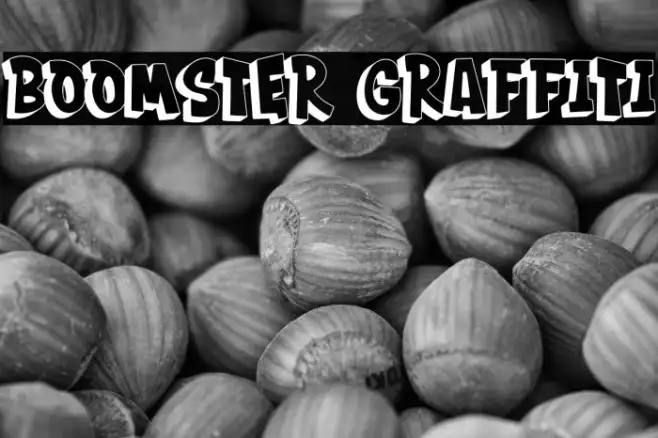 BOOMSTER Graffiti Example 2