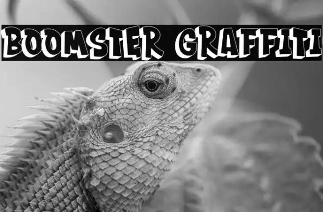 BOOMSTER Graffiti Example 3