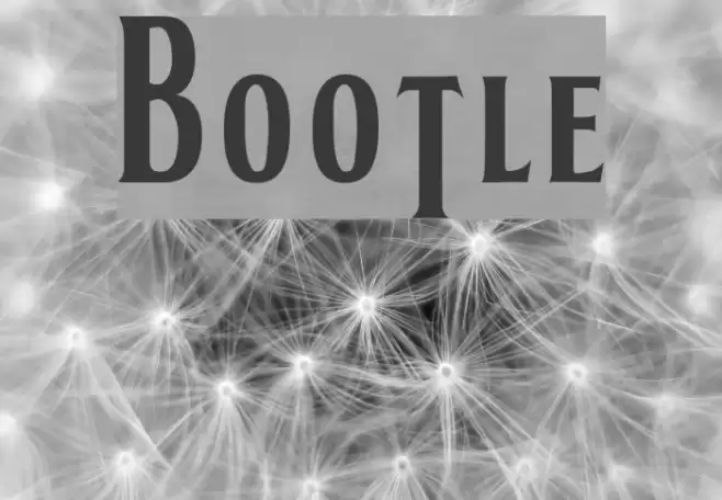BOOTLE Font examples