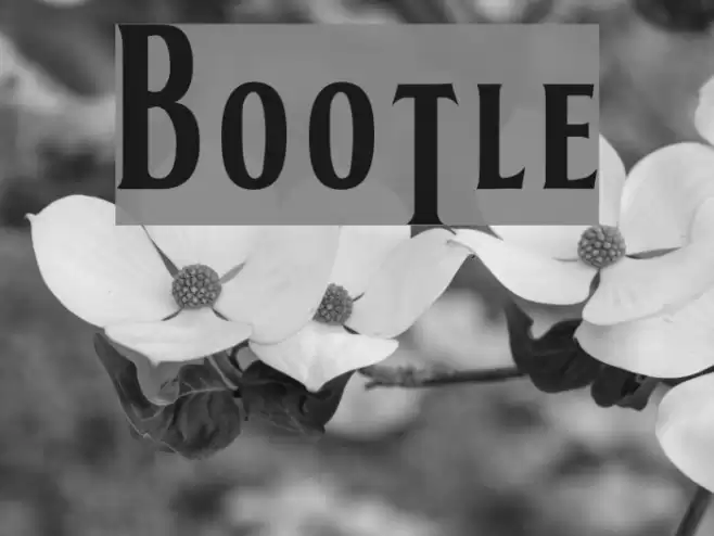 BOOTLE Font examples