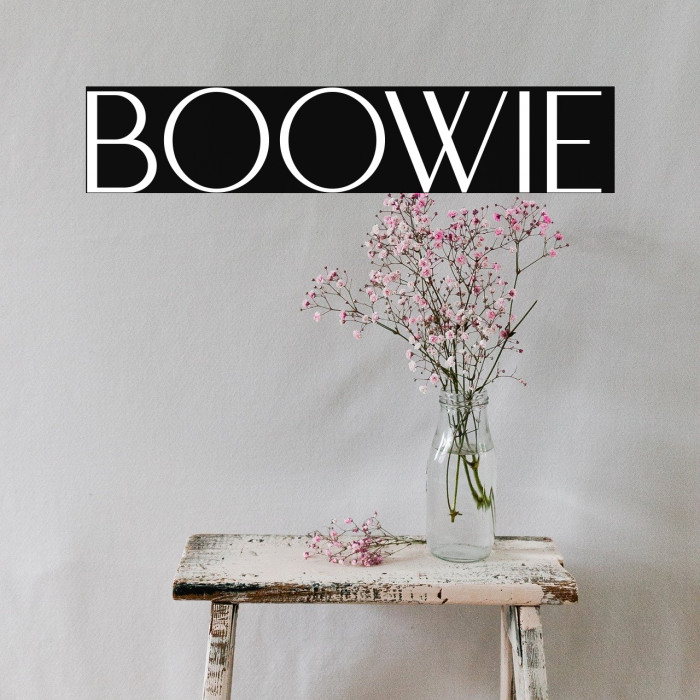 BOOWIE Example 1