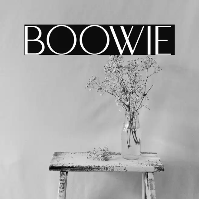 BOOWIE Font examples