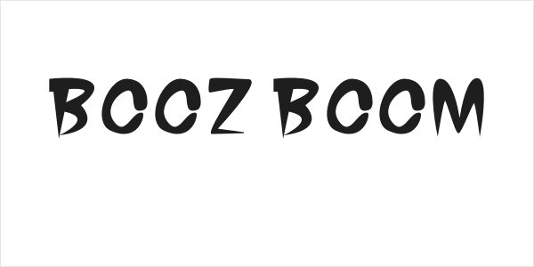 BOOZ BOOM Logo