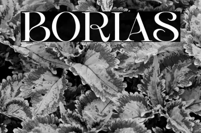 BORIAS फ़ॉन्ट examples