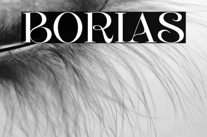 BORIAS फ़ॉन्ट examples